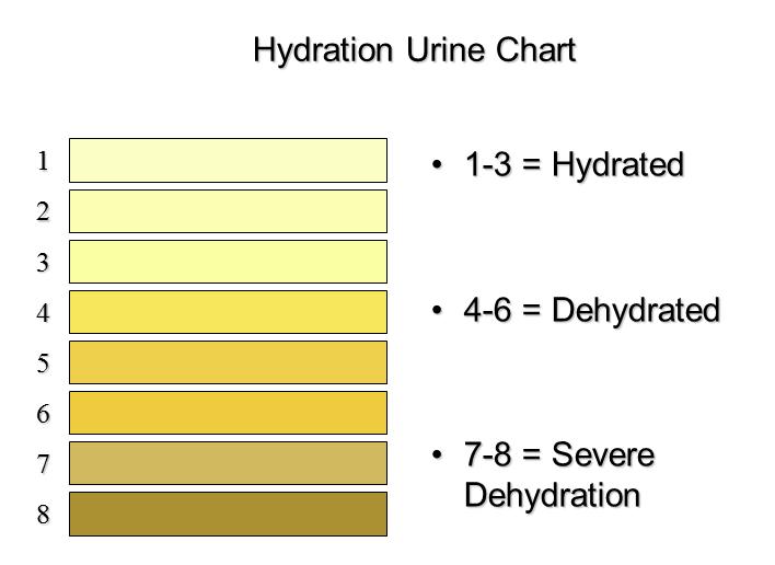 Hydration for hydration levels