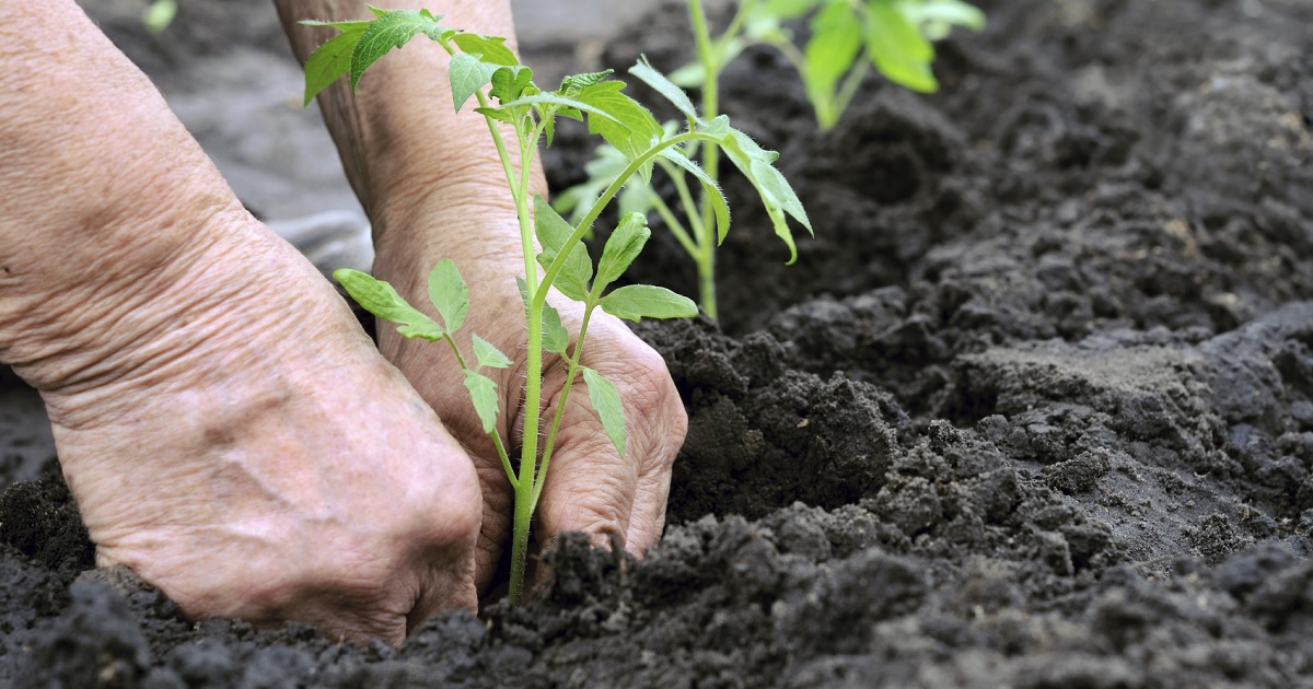 Common Injuries While Gardening.