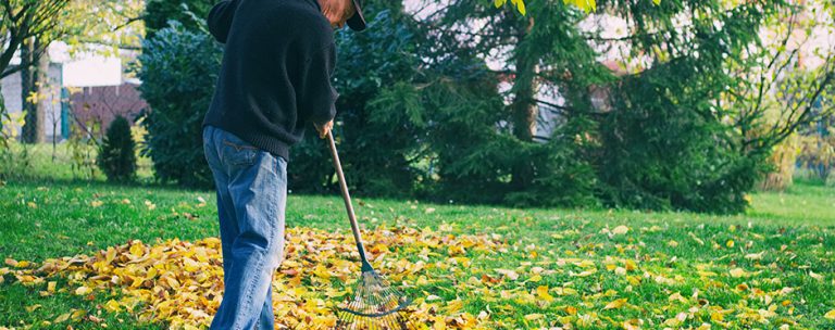 leaf-raking-injury-prevention-tips-athletico